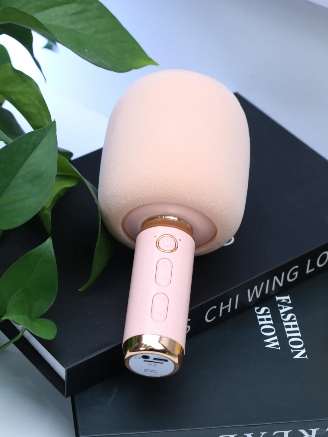AKAC Pastel Karaoke Microphone